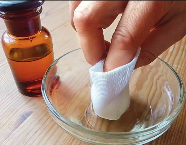 Настоянка кінського каштана: рецепти приготування в домашніх умовах на горілки і спирту, лікувальні властивості, протипоказання та інструкція по застосуванню